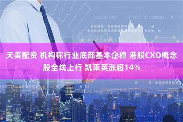 天美配资 机构称行业底部基本企稳 港股CXO概念股全线上行 凯莱英涨超14%