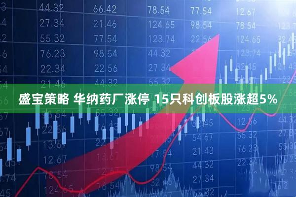 盛宝策略 华纳药厂涨停 15只科创板股涨超5%