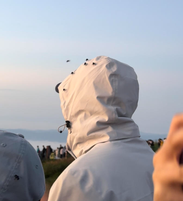 华融资产 游客拍到江西武功山金顶苍蝇乱飞 景区：没有收到相关反馈